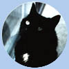 Tribute To Emily - Updated:  July 7, 1999