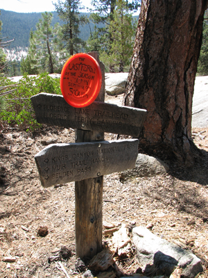 Frisbee Sign