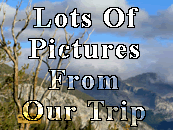 Oh yeah, lots of pictures...