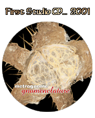 All Gnomenclature Art By O'Rielly - phormproductions.com